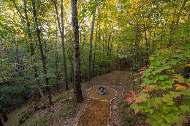 596 Riverview Dr, Ellijay, GA 30540 - view of woods