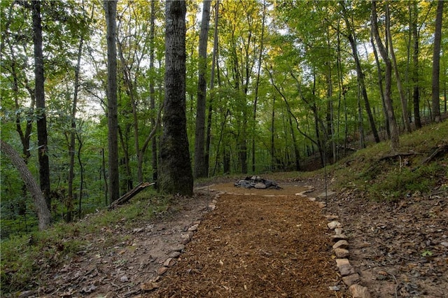 596 Riverview Dr, Ellijay, GA 30540 - view of road with a forest view