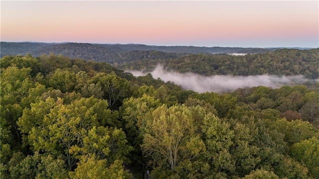 596 Riverview Dr, Ellijay, GA 30540 - water view featuring a forest