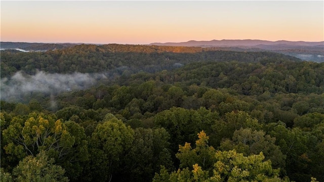596 Riverview Dr, Ellijay, GA 30540 - view of mountain backdrop featuring a heavily wooded area