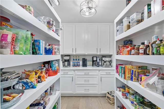 2241 N 16th Hwy, Whitesburg, GA 30185 - view of pantry