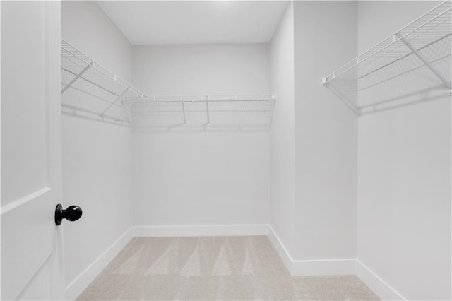 walk in closet featuring light carpet