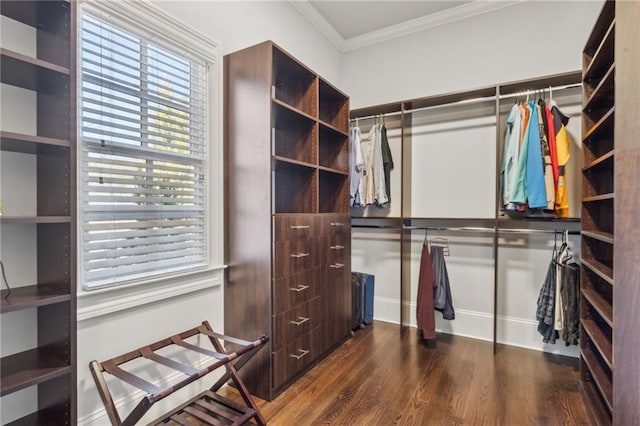 spacious closet featuring wood finished floors