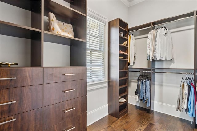 walk in closet featuring dark wood-style flooring