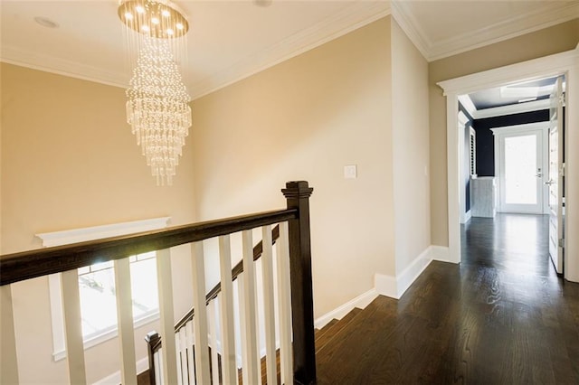 unfurnished bedroom with ornamental molding, a closet, dark hardwood / wood-style floors, and an inviting chandelier