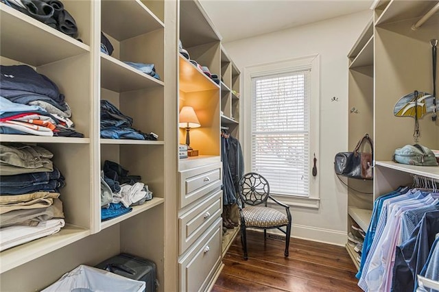 spacious closet with dark wood-type flooring