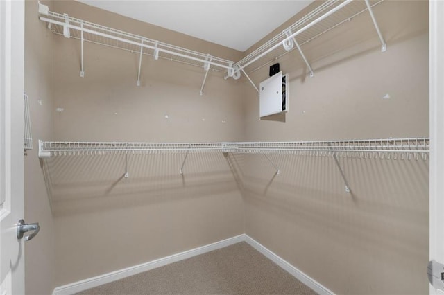 spacious closet with carpet floors