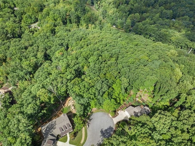 Listing photo 2 for LOT29 Long Mountain Trl, Cleveland GA 30528