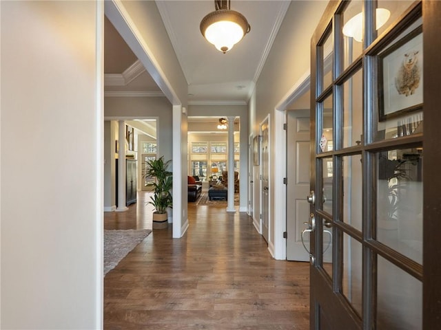 hallway featuring crown molding and dark hardwood / wood-style floors