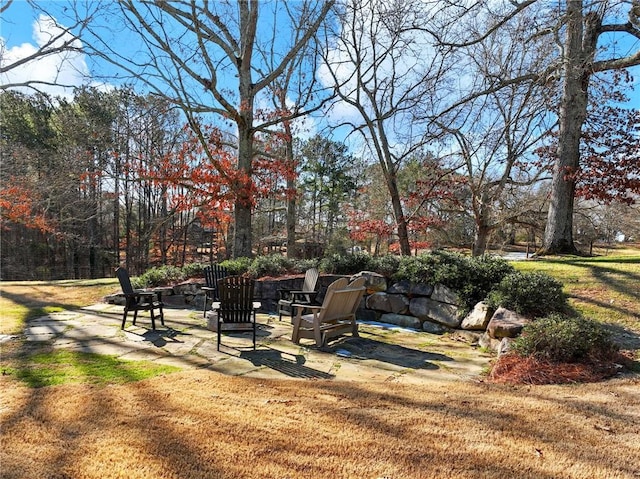 view of yard featuring a patio