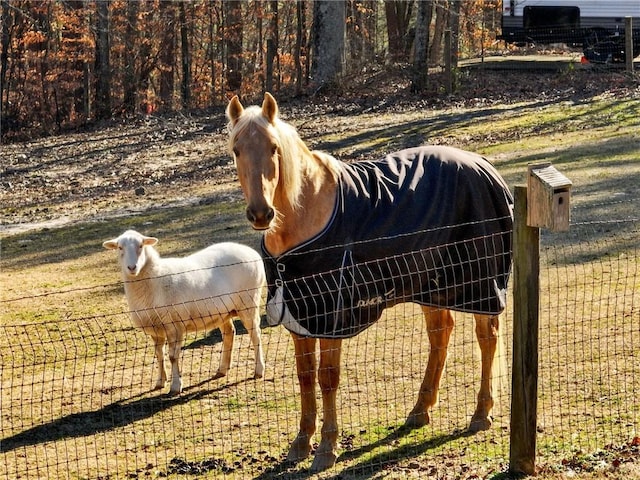 view of horse barn