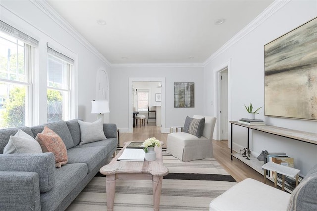 living room with crown molding, light hardwood / wood-style floors, and a healthy amount of sunlight