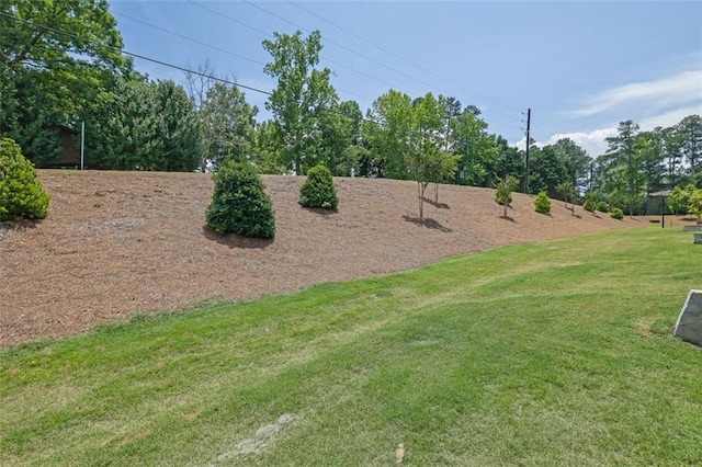 1969 Lanier Harbor Pt, Buford, GA 30518 - view of grassy yard featuring view of scattered trees