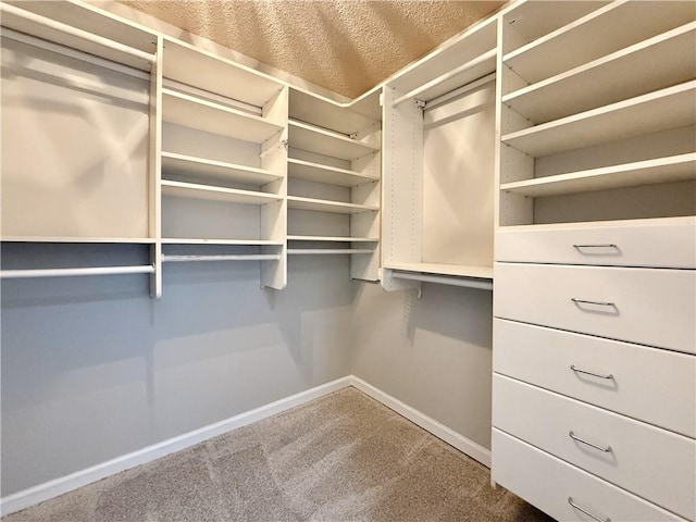 walk in closet featuring carpet floors