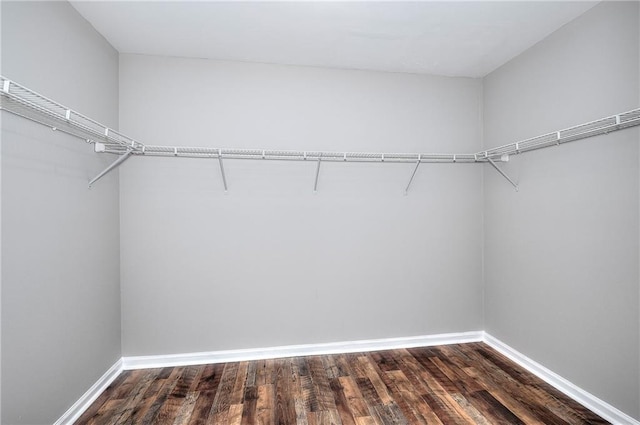 4041 Ash Tree St, Snellville, GA 30039 - walk in closet with dark wood-style flooring