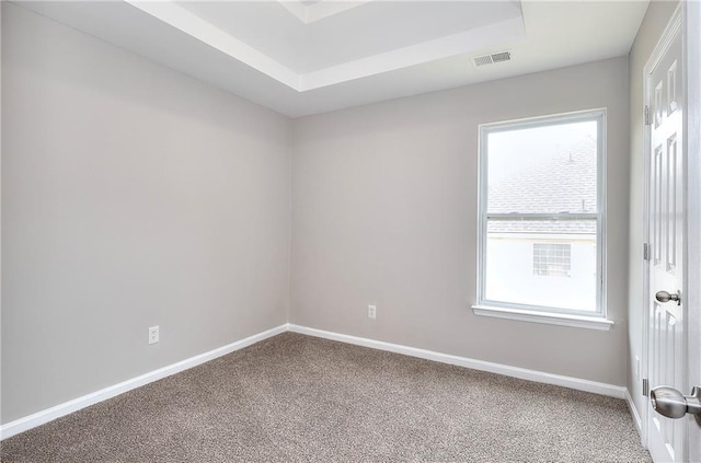 4041 Ash Tree St, Snellville, GA 30039 - unfurnished room with carpet flooring, baseboards, and a tray ceiling