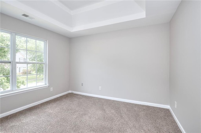 4041 Ash Tree St, Snellville, GA 30039 - spare room with a tray ceiling, carpet, and healthy amount of natural light