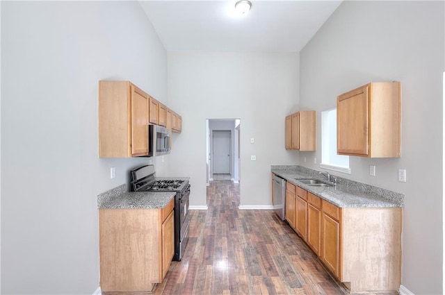 4041 Ash Tree St, Snellville, GA 30039 - kitchen featuring stainless steel appliances, a towering ceiling, dark wood-style floors, baseboards, and light countertops
