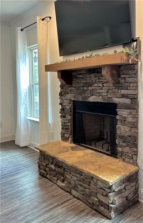 13 Four Feathers Ln, Rydal, GA 30171 - detailed view of baseboards, ornamental molding, wood finished floors, and a fireplace