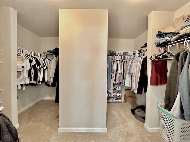 13 Four Feathers Ln, Rydal, GA 30171 - walk in closet featuring carpet floors