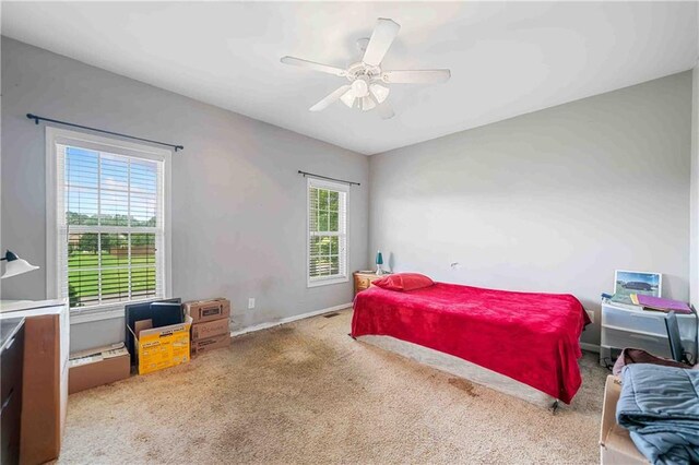 250 Brianna Blvd, Calhoun, GA 30701 - bedroom featuring carpet floors and a ceiling fan