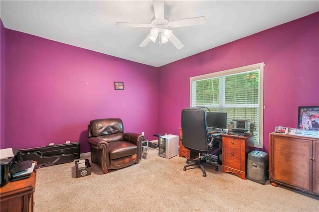 250 Brianna Blvd, Calhoun, GA 30701 - carpeted office with ceiling fan