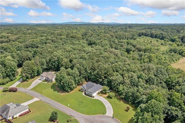 250 Brianna Blvd, Calhoun, GA 30701 - bird's eye view of a heavily wooded area