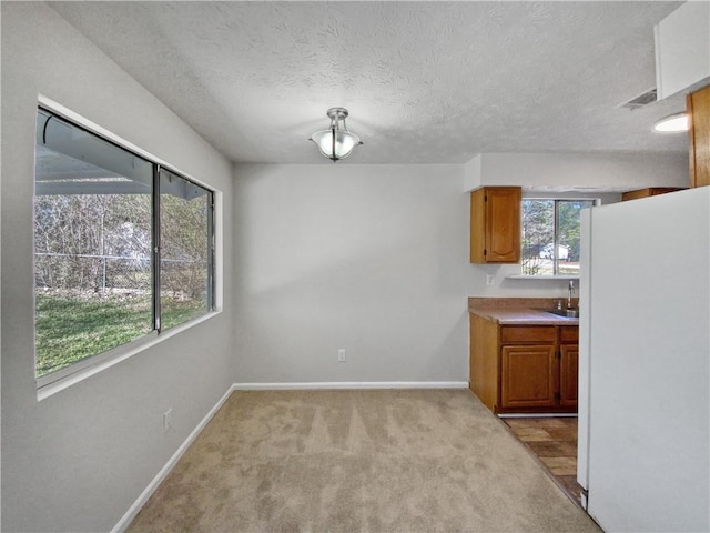 kitchen with a textured ceiling, white fridge, sink, and light carpet