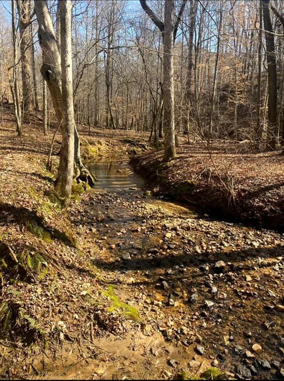 view of local wilderness with a water view