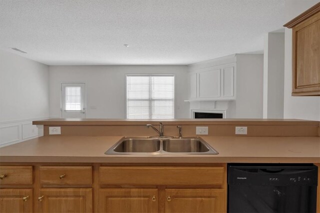 kitchen with sink, a healthy amount of sunlight, a textured ceiling, and dishwasher