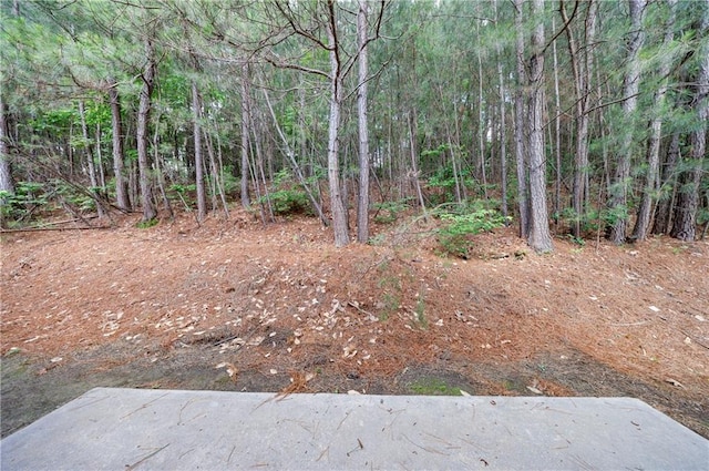 4844 W Park Cir Unit 4844, College Park, GA 30349 - view of yard with a wooded view