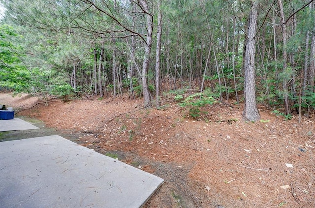 4844 W Park Cir Unit 4844, College Park, GA 30349 - view of yard featuring a patio and a forest view
