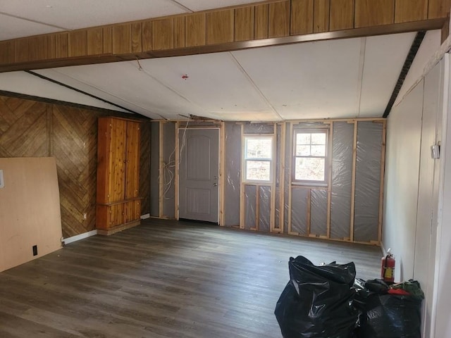 interior space featuring wood walls and wood finished floors