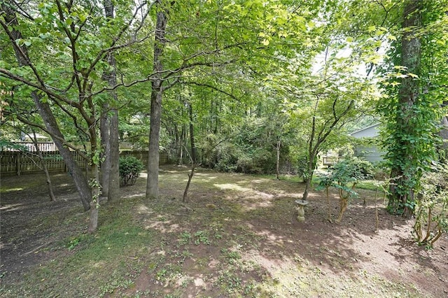 5807 Christopher Ln, Lithonia, GA 30058 - view of yard