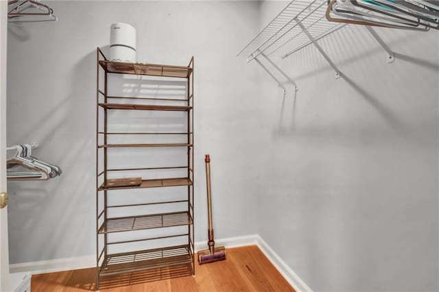 spacious closet with wood-type flooring