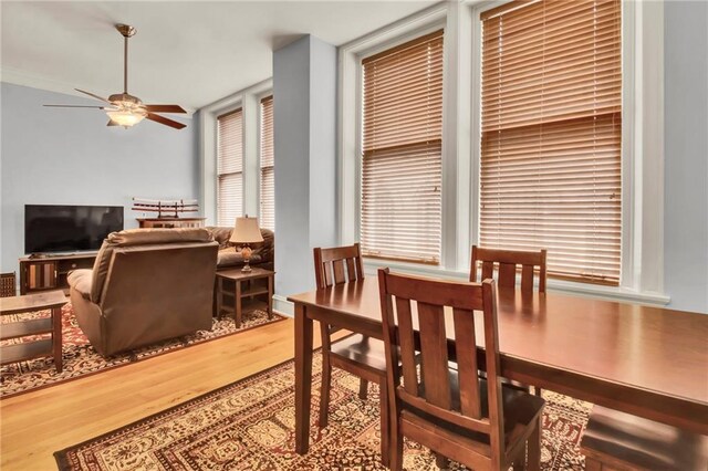 dining area featuring ceiling fan and hardwood / wood-style floors