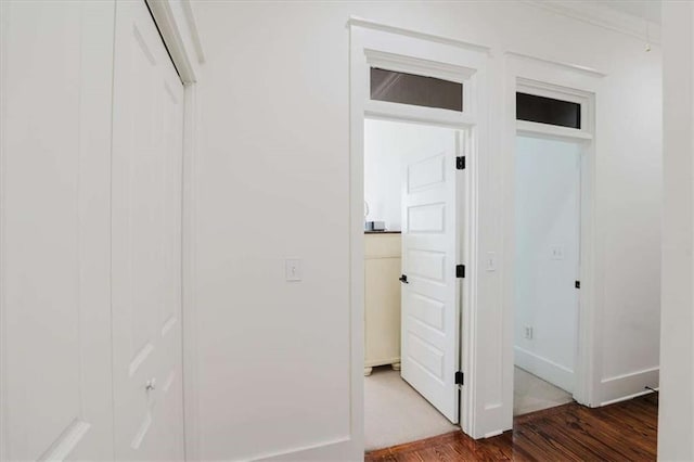 hall featuring dark hardwood / wood-style flooring and crown molding