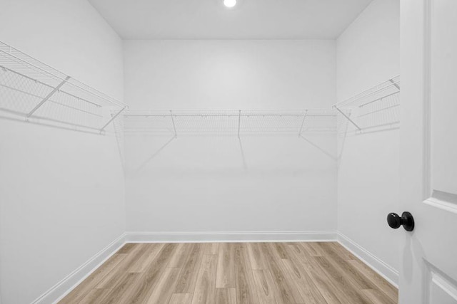 spacious closet with light hardwood / wood-style flooring