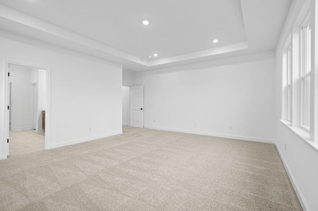 unfurnished room featuring light carpet and a raised ceiling