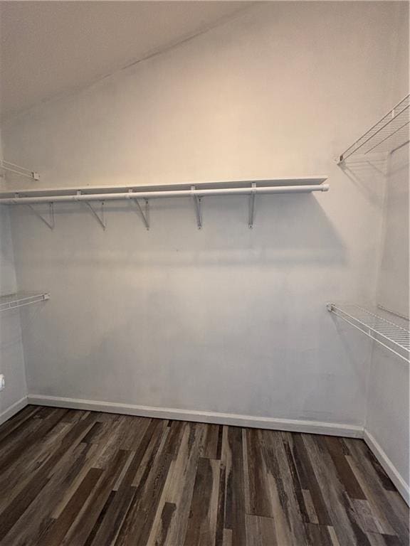 spacious closet featuring dark wood-type flooring