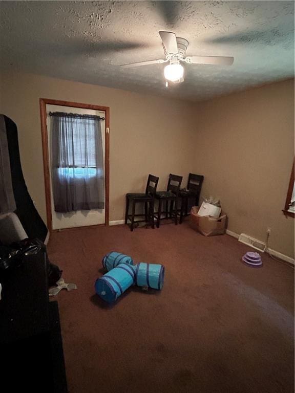 miscellaneous room with carpet, ceiling fan, and a textured ceiling