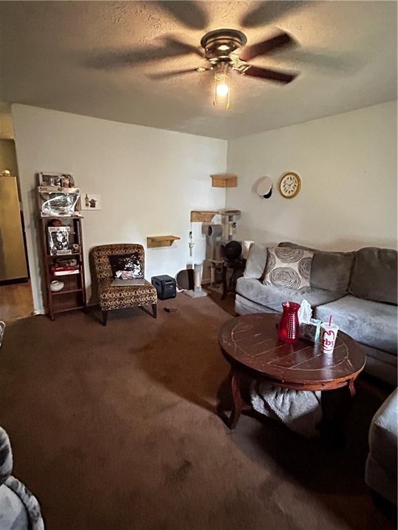 living room featuring a textured ceiling, carpet floors, and ceiling fan