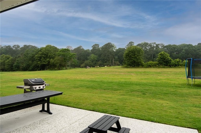 201 Advent Dr, Winder, GA 30680 - view of green lawn featuring a trampoline, a forest view, and a patio area