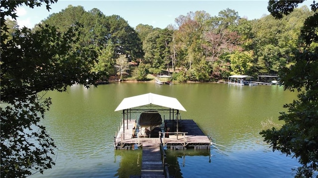 dock area with a water view