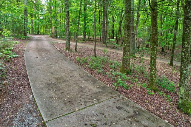 361 Rising Star Rd, Ellijay, GA 30536 - view of street with a forest view