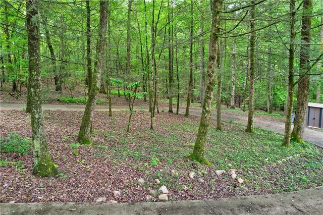 361 Rising Star Rd, Ellijay, GA 30536 - view of yard with a wooded view