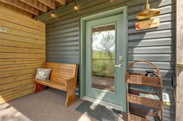 361 Rising Star Rd, Ellijay, GA 30536 - view of property entrance