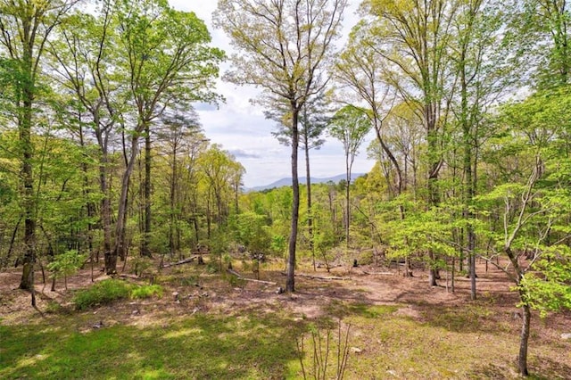 361 Rising Star Rd, Ellijay, GA 30536 - view of local wilderness with a mountain backdrop