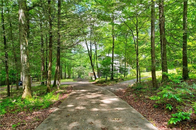 361 Rising Star Rd, Ellijay, GA 30536 - view of property's community featuring a forest view