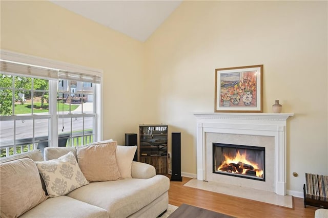 3705 Tate Pl, Austell, GA 30106 - living room with wood finished floors, a high end fireplace, high vaulted ceiling, and baseboards